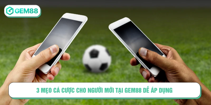 3 mẹo cá cược cho người mới tại GEM88 dễ áp dụng