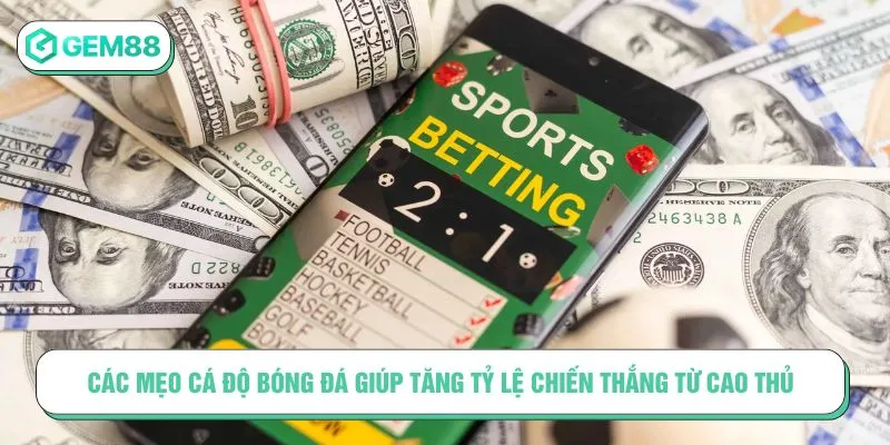 Mẹo Cá Độ Bóng Đá Chuẩn Xác Giúp Bạn Tăng Tỷ Lệ Thắng Các mẹo cá độ bóng đá giúp tăng tỷ lệ chiến thắng từ cao thủ