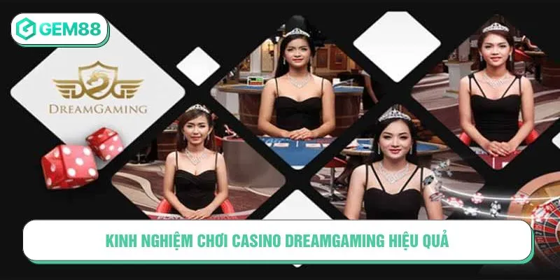 Kinh nghiệm chơi Casino DreamGaming hiệu quả