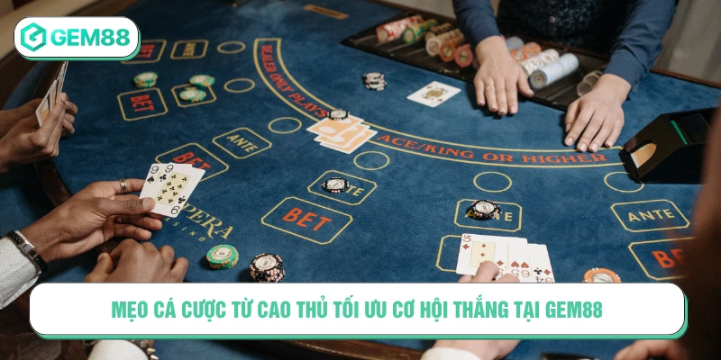 mẹo cá cược từ cao thủ