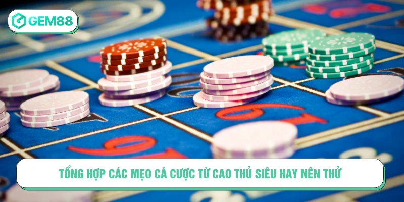 Tổng hợp các mẹo cá cược từ cao thủ siêu hay nên thử